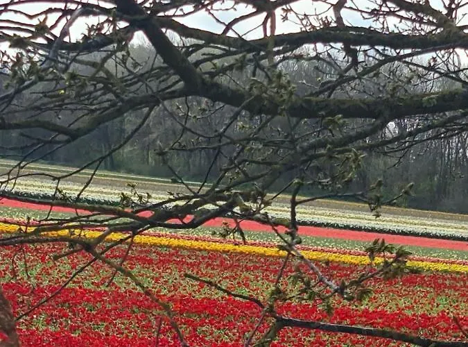 Tamar 2 滨海卡特韦克