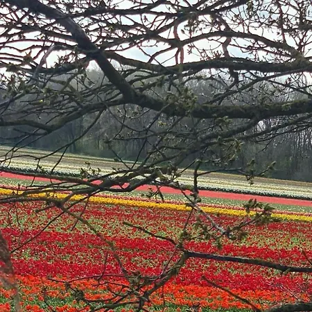 Tamar 2 Katwijk aan Zee