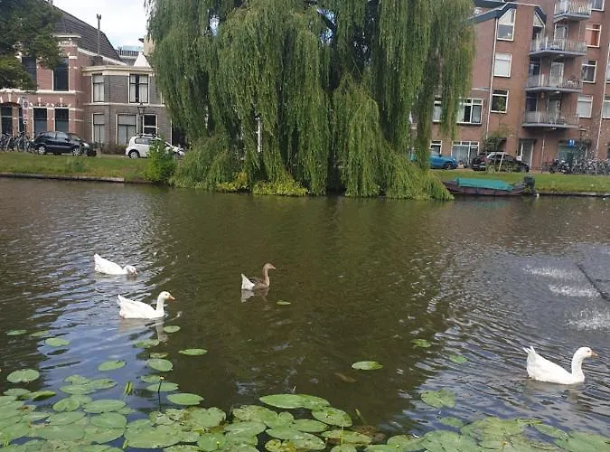 Tamar 2 Bed & Breakfast Katwijk aan Zee